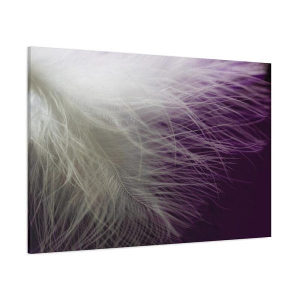 Featherweight Standard Canvas