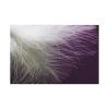 Featherweight Standard Canvas