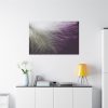 Featherweight Standard Canvas