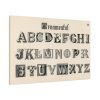 91638-1423.jpg Draughtsman's Alphabets by Hermann Esser Standard Canvas