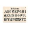 91638-1424.jpg Draughtsman's Alphabets by Hermann Esser Standard Canvas