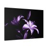 91638-15.jpg Purple Lily Standard Canvas