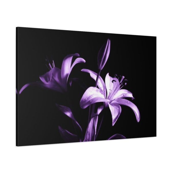 91638-15.jpg Purple Lily Standard Canvas