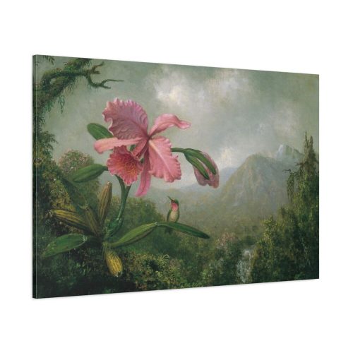 Heade Orchid by Martin Johnson Standard Canvas