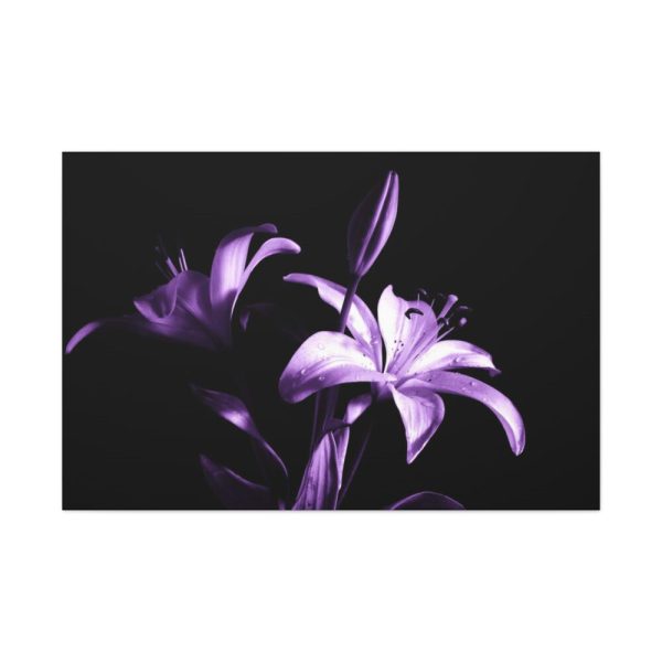 91638-16.jpg Purple Lily Standard Canvas