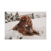 91638-161.jpg Dog Lying on Snow Standard Canvas