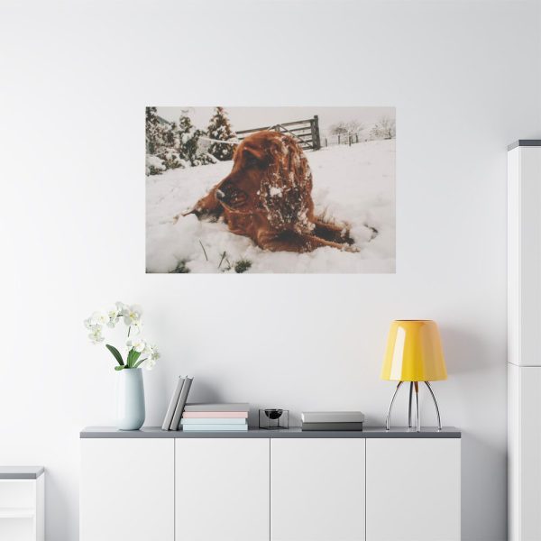 91638-162.jpg Dog Lying on Snow Standard Canvas