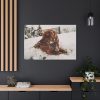 91638-163.jpg Dog Lying on Snow Standard Canvas