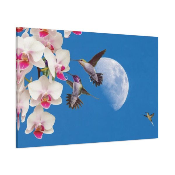 91638-165.jpg Humming Birds Standard Canvas