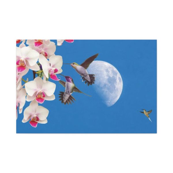 91638-166.jpg Humming Birds Standard Canvas