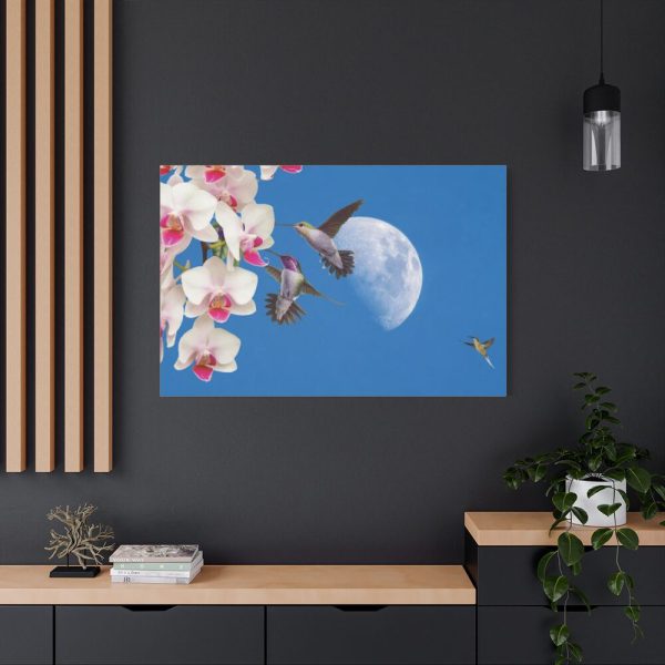 91638-168.jpg Humming Birds Standard Canvas