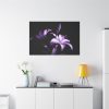 91638-17.jpg Purple Lily Standard Canvas