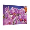 Orchids Flowers Standard Canvas