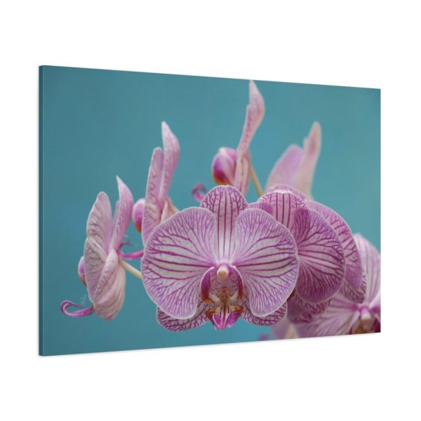 91638-175.jpg Purple Orchid Standard Canvas