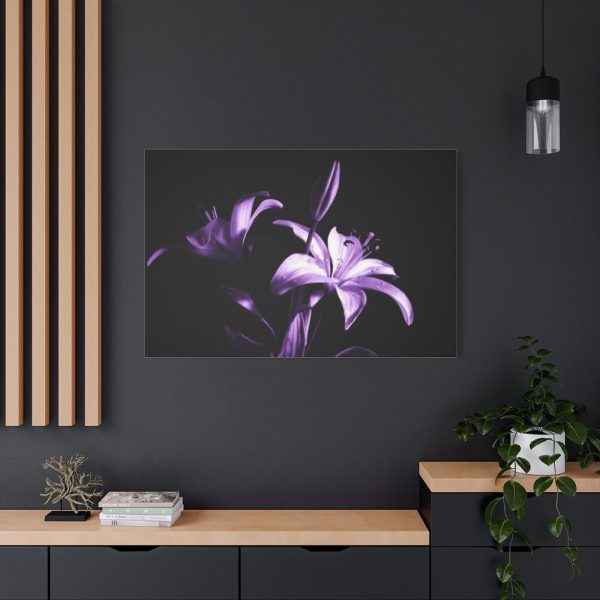 91638-18.jpg Purple Lily Standard Canvas