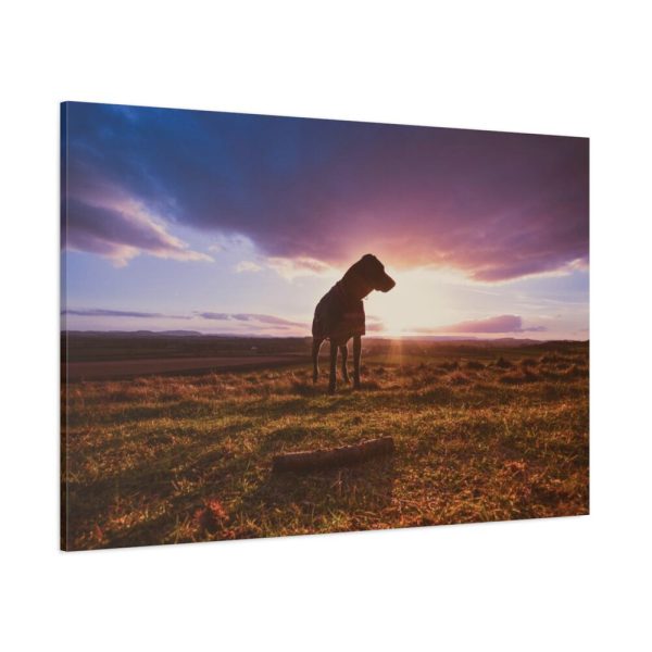 91638-185.jpg Free Dog at Sunset Standard Canvas
