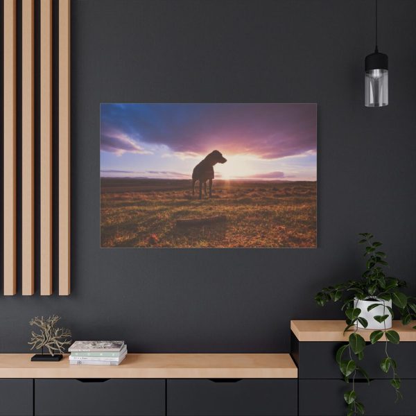 91638-188.jpg Free Dog at Sunset Standard Canvas
