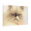 91638-190.jpg Angry Persian Cat Standard Canvas