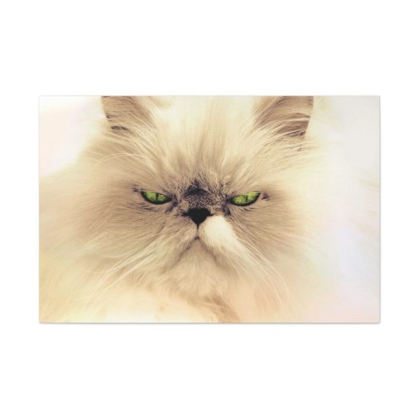 91638-191.jpg Angry Persian Cat Standard Canvas