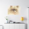91638-192.jpg Angry Persian Cat Standard Canvas