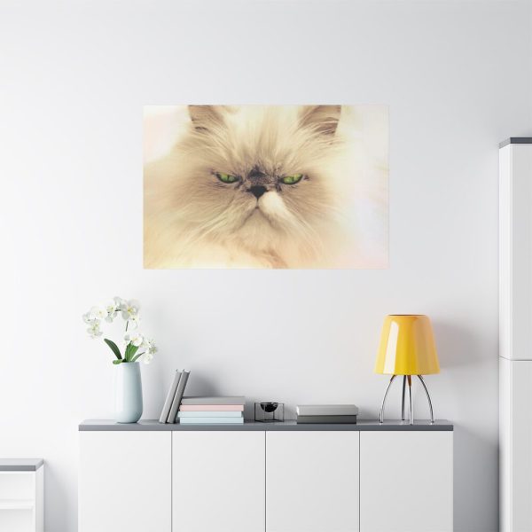 91638-192.jpg Angry Persian Cat Standard Canvas