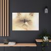 91638-193.jpg Angry Persian Cat Standard Canvas
