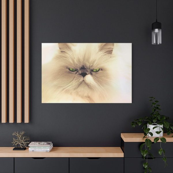 91638-193.jpg Angry Persian Cat Standard Canvas