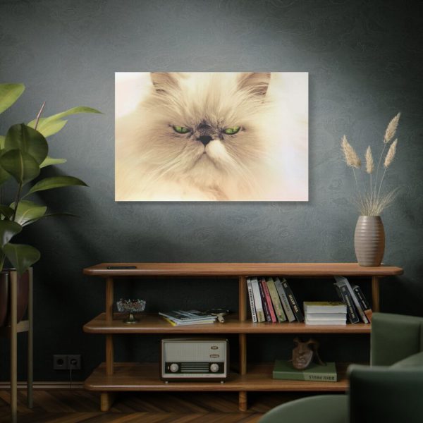 91638-194.jpg Angry Persian Cat Standard Canvas