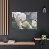 White Orchid Standard Canvas