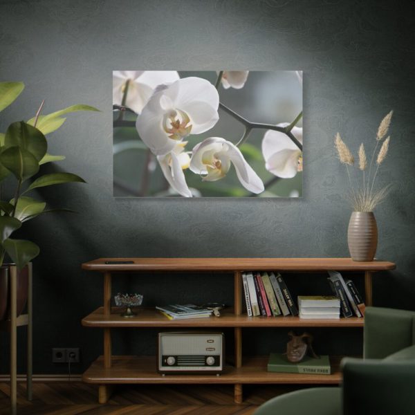 White Orchid Standard Canvas