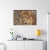 91638-2.jpg Beautiful Lion's Head Standard Canvas