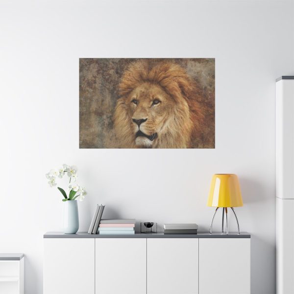 91638-2.jpg Beautiful Lion's Head Standard Canvas
