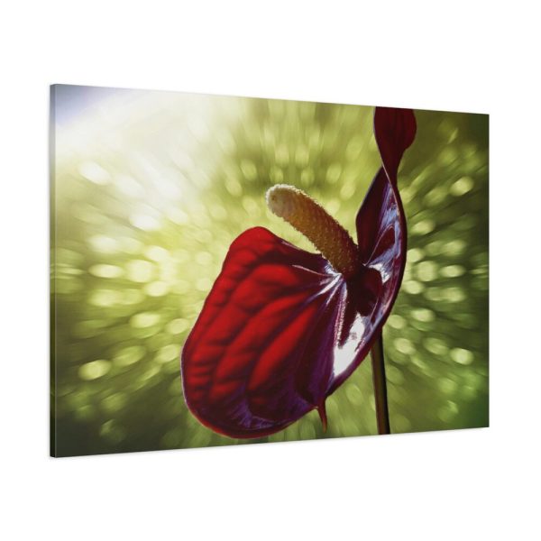 Red Lily Standard Canvas