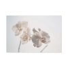 Beautiful White Orchid Standard Canvas