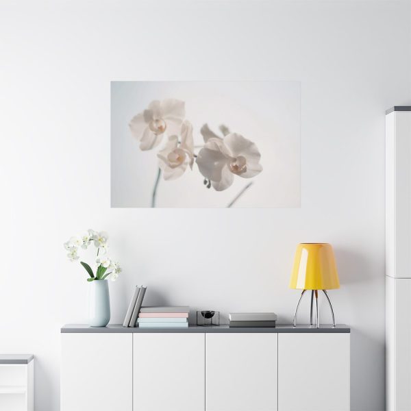 Beautiful White Orchid Standard Canvas