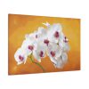 91638-205.jpg Orchid Plant Flower Standard Canvas