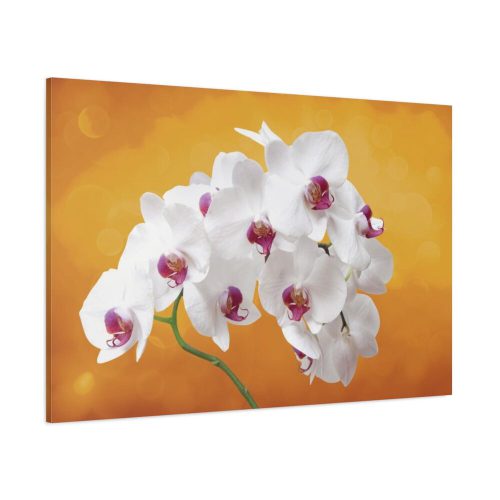 Orchid Plant Flower  Standard Canvas
