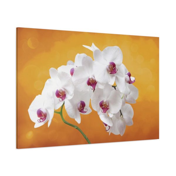 91638-205.jpg Orchid Plant Flower Standard Canvas