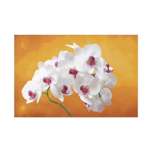 91638-206.jpg Orchid Plant Flower Standard Canvas