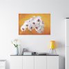 91638-207.jpg Orchid Plant Flower Standard Canvas