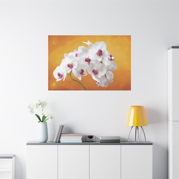 91638-207.jpg Orchid Plant Flower Standard Canvas
