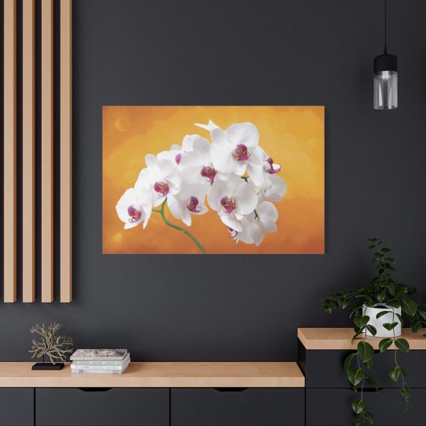91638-208.jpg Orchid Plant Flower Standard Canvas