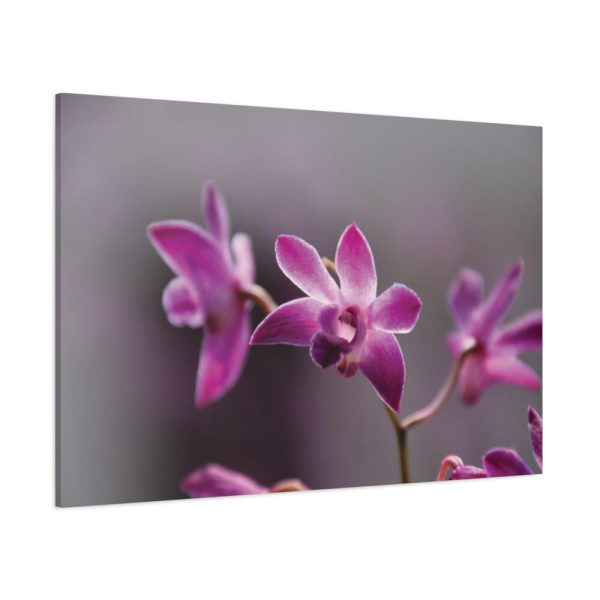 Macro Flower Plant Standard Canvas