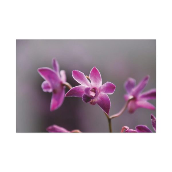 Macro Flower Plant Standard Canvas