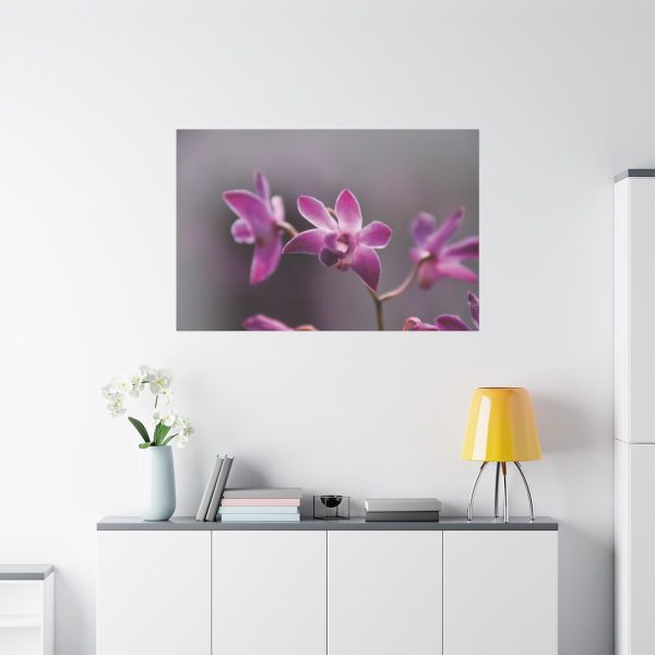 Macro Flower Plant Standard Canvas