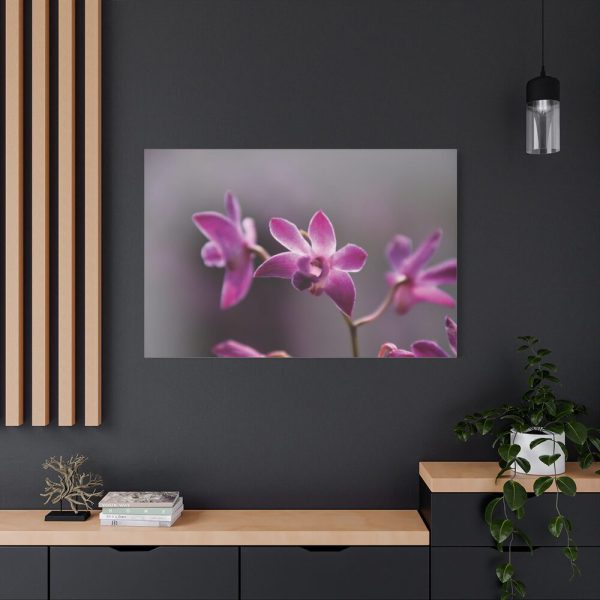 Macro Flower Plant Standard Canvas