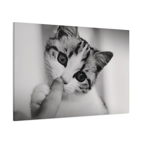 Kitten and Finger Standard Canvas