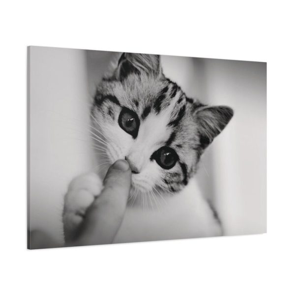 91638-215.jpg Kitten and Finger Standard Canvas