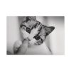 91638-216.jpg Kitten and Finger Standard Canvas
