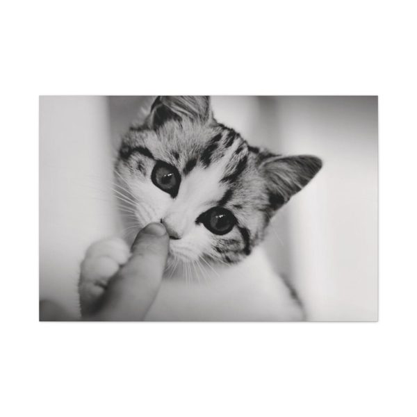 91638-216.jpg Kitten and Finger Standard Canvas